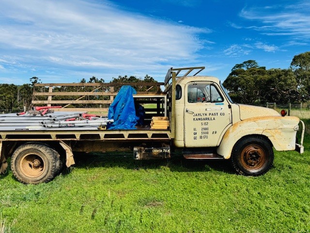 Bedford side view best